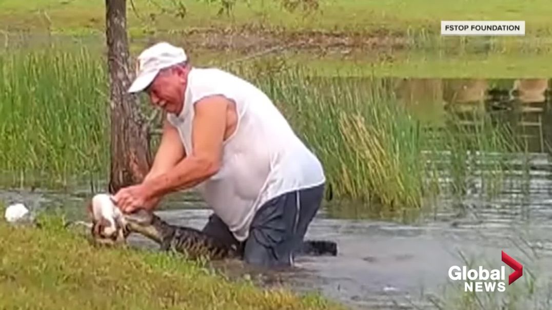 ⁣Burri shpëton qenushin nga goja e aligatorit dhe e gjitha pa fikur cigaren