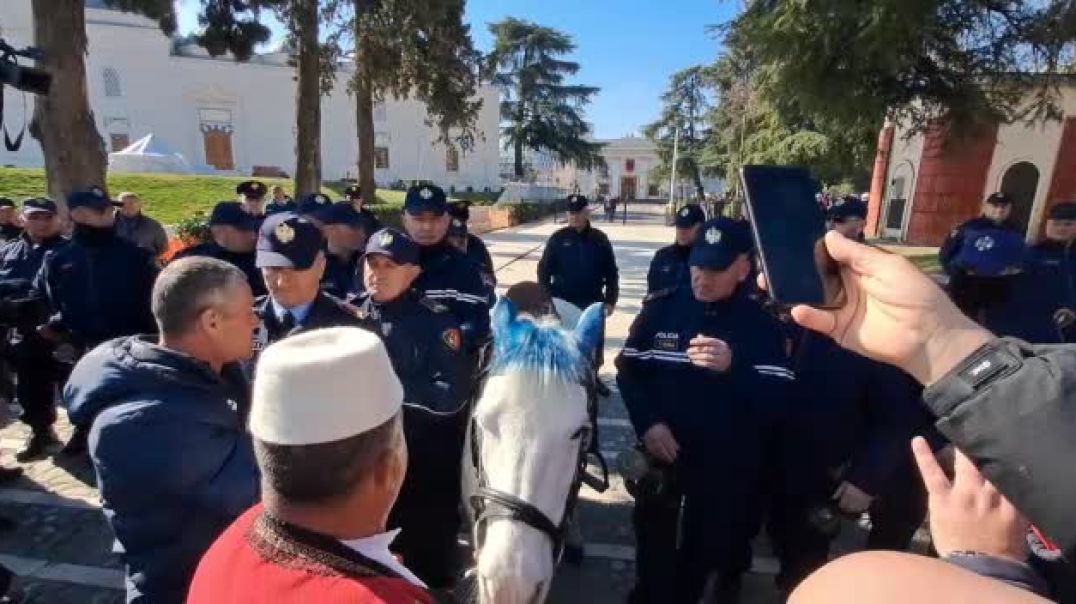 ⁣Protestuesit tentojnë të fusin kalin me ‘balluke blu’ brenda Kuvendit