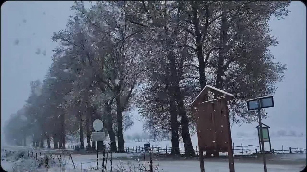 Magjia e borës në Fushë Studen