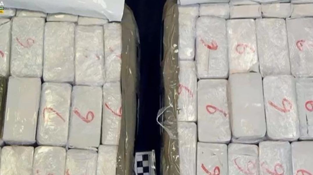 Operacioni kundër 'Ndragheta'-s, shqiptarët e arrestuar me të shkuar kriminale