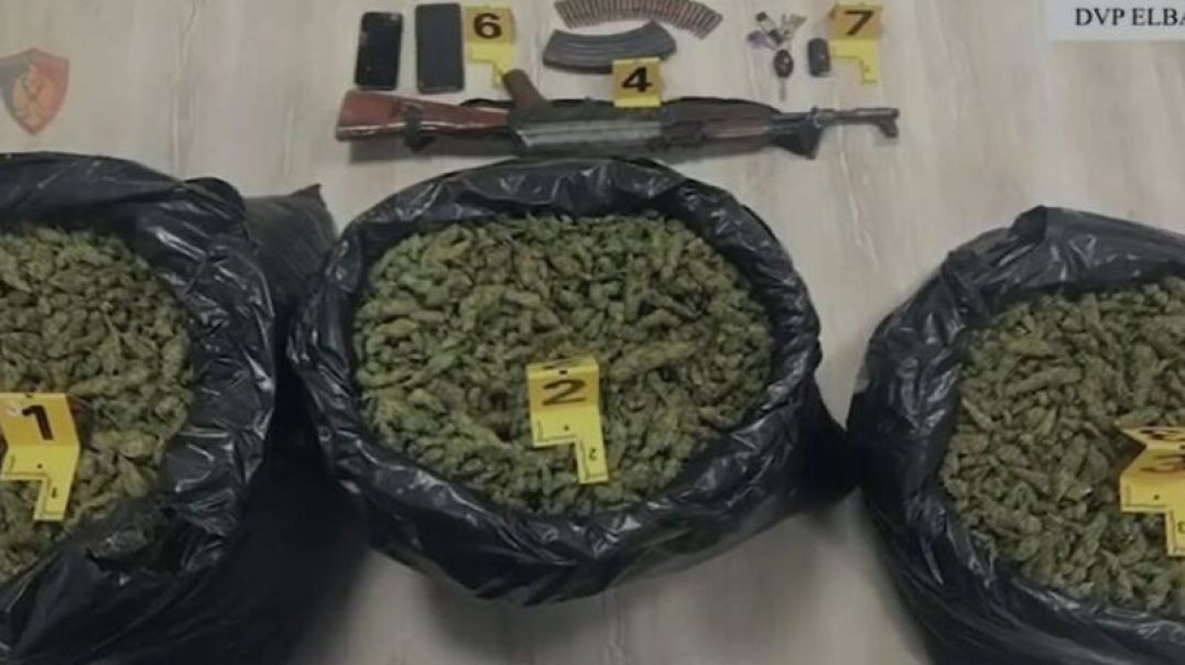 Trafik droge nga veriu në jug, goditet grupi kriminal në Elbasan