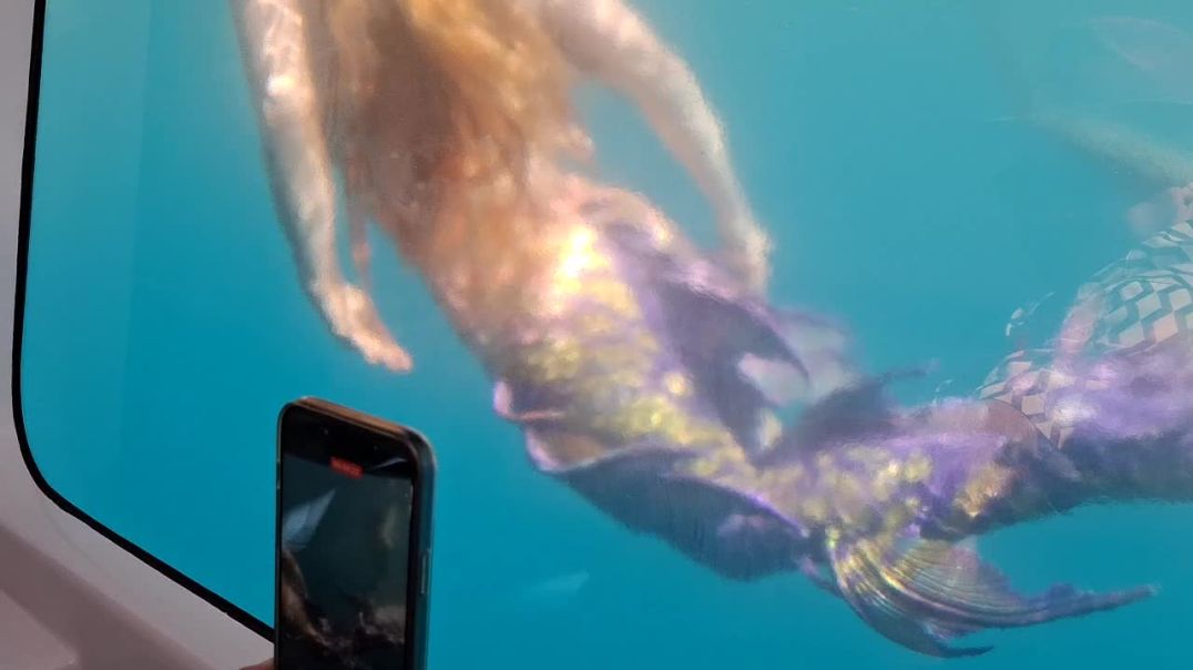 Sirena e Sarandës zbulon misteret e Detit Jon- Një eksperiencë turistike unike nën ujë